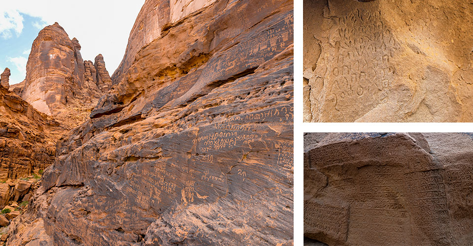 madain saleh tour from madinah