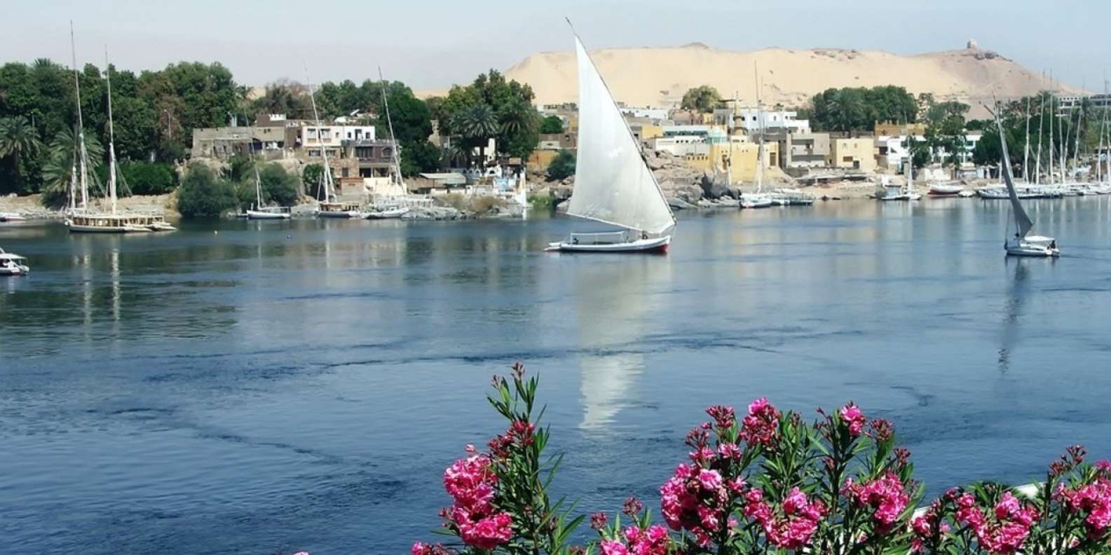 Aswan: Boat Trip to the Nubian Village – Saudi Arabia Tours