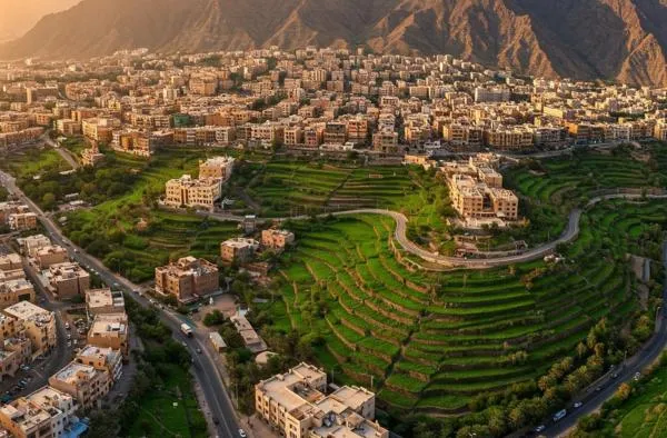 Terraced Abha green mountains landscape