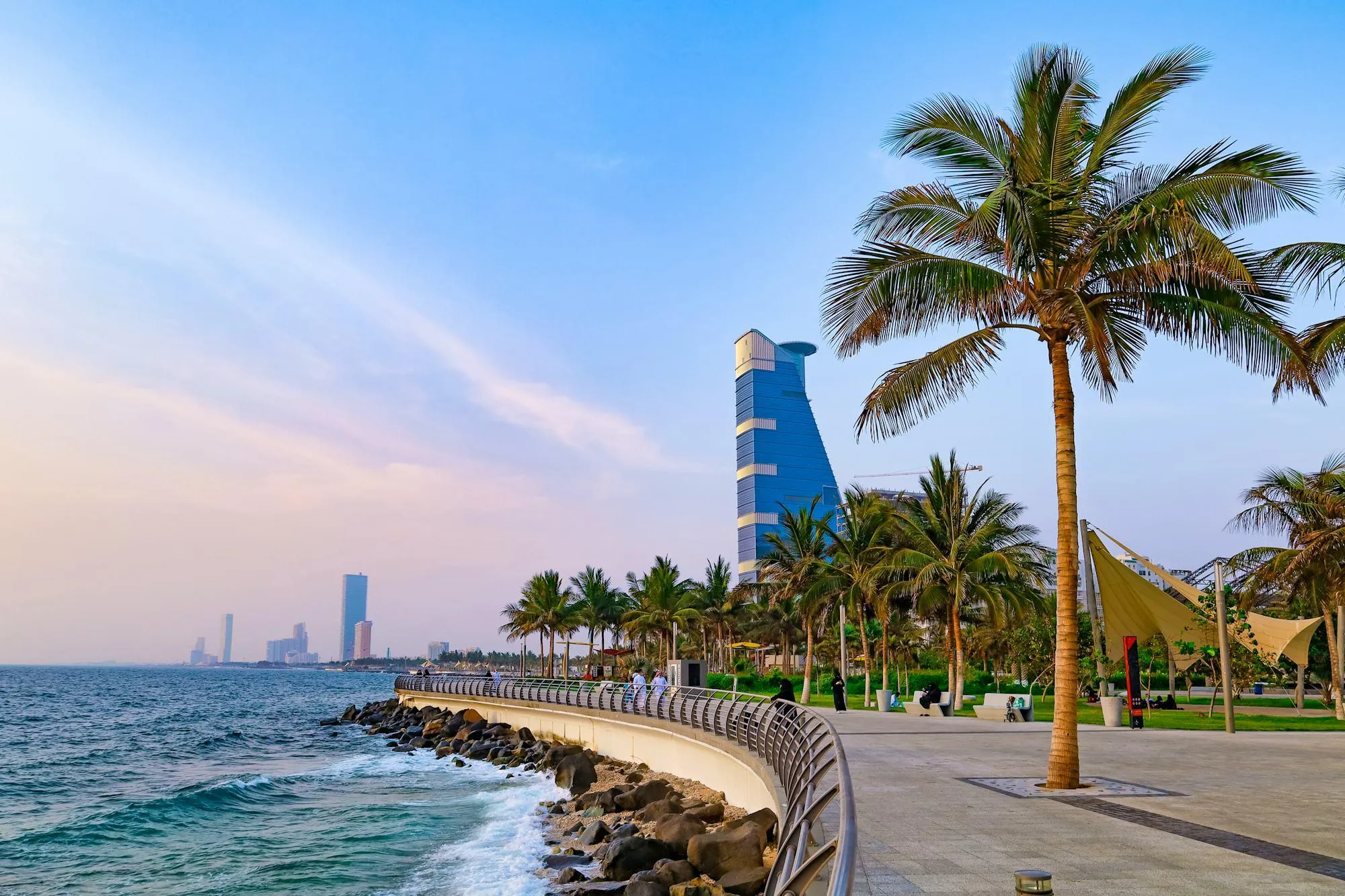 Palm trees along Jeddah waterfront promenade