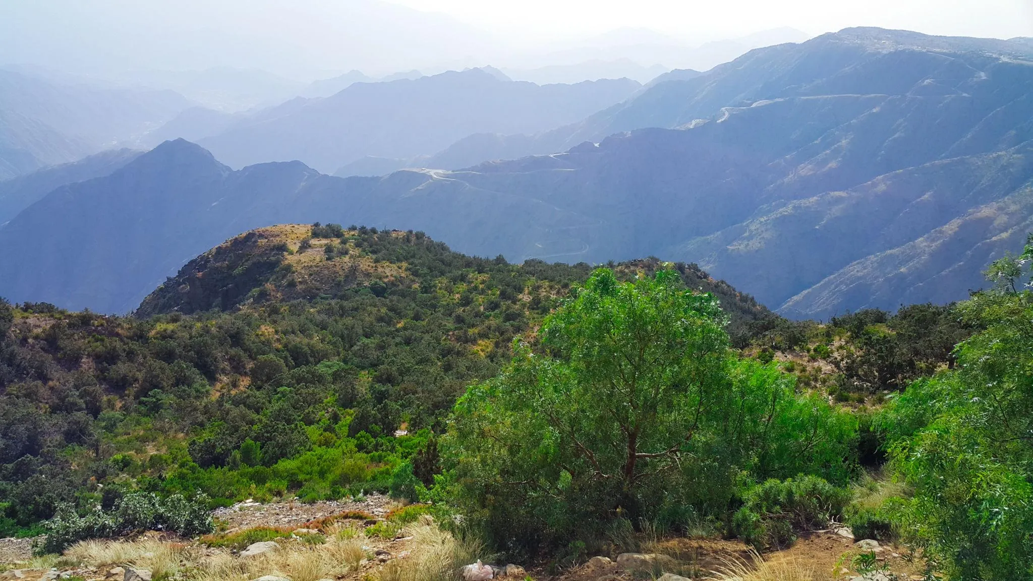 Panoramic view of green mountain hills in Abha